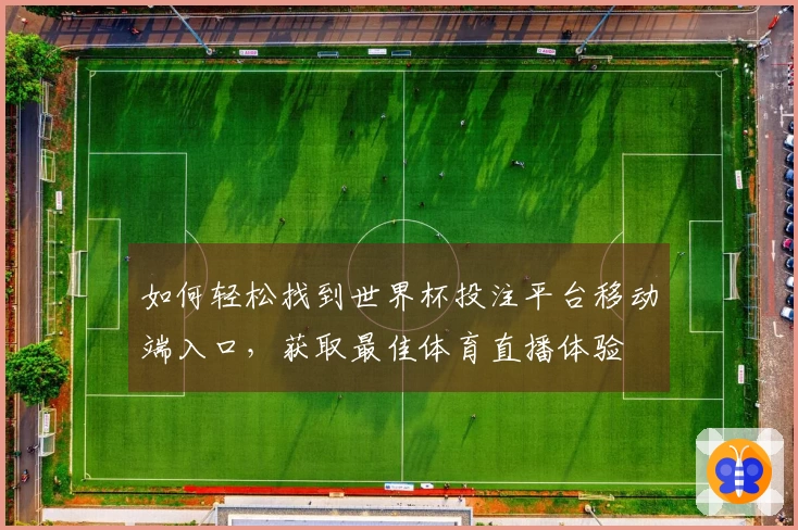 如何轻松找到世界杯投注平台移动端入口，获取最佳体育直播体验