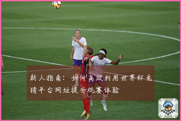 新人指南：如何高效利用世界杯竞猜平台网址提升观赛体验
