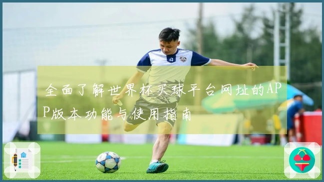 全面了解世界杯买球平台网址的APP版本功能与使用指南