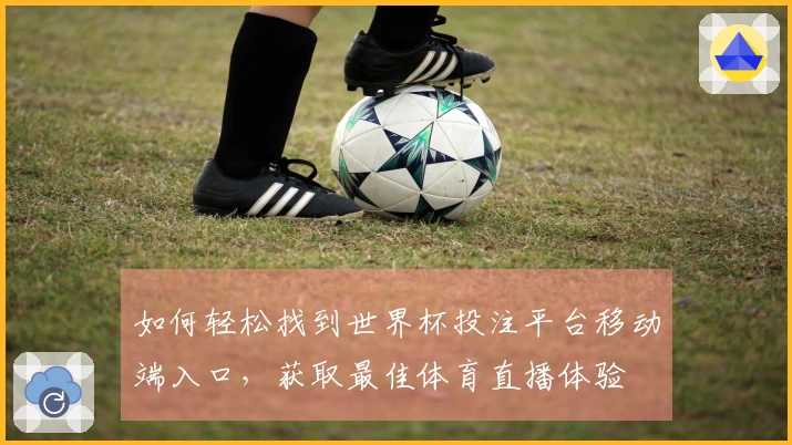 如何轻松找到世界杯投注平台移动端入口，获取最佳体育直播体验